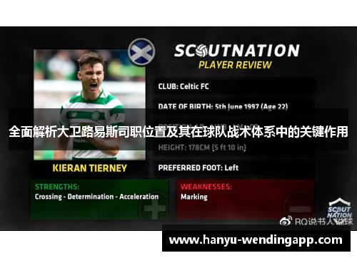 全面解析大卫路易斯司职位置及其在球队战术体系中的关键作用