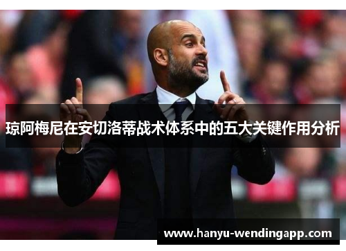 琼阿梅尼在安切洛蒂战术体系中的五大关键作用分析