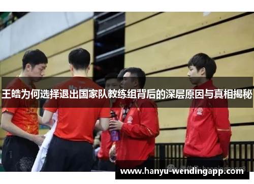 王皓为何选择退出国家队教练组背后的深层原因与真相揭秘
